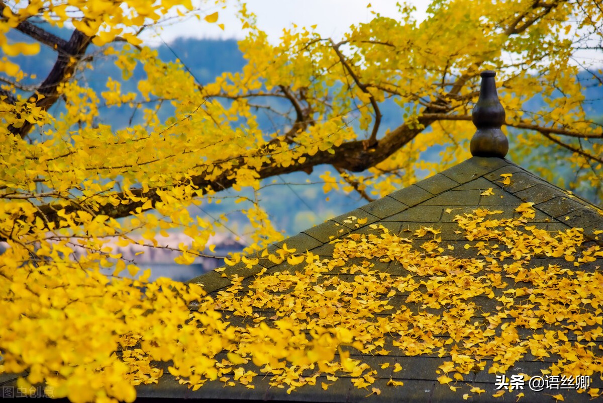 随笔一缕阳光,心中的一缕阳光随笔