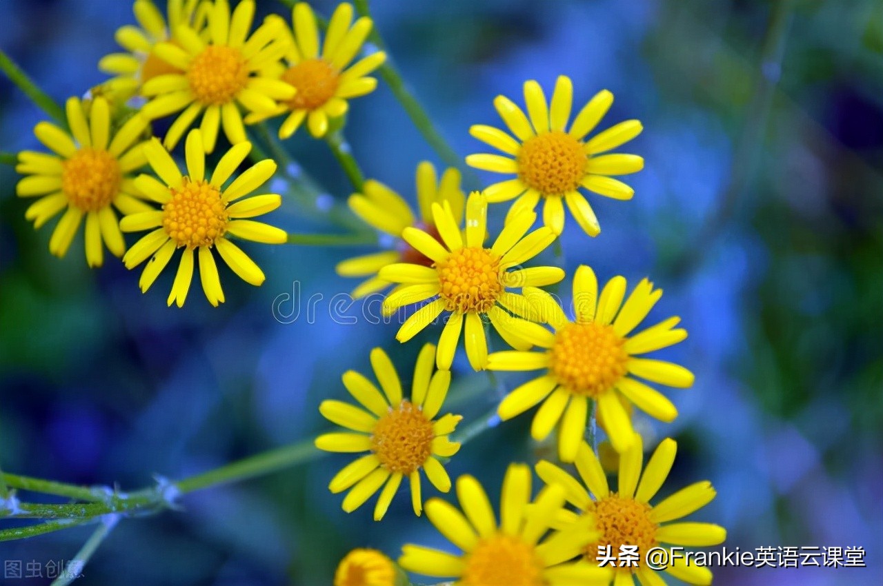 送给母亲什么礼物英语作文,英语美文送给母亲