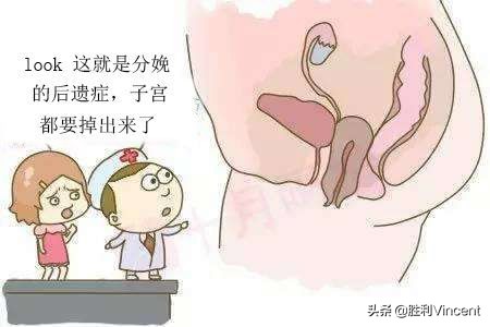 产后盆底康复知识大全,产后如何恢复盆底康复