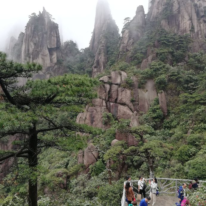 旅游拼车哪种方式好,拼车旅游哪个网比较好便宜