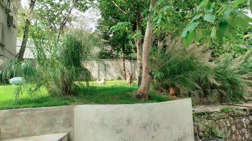 意境公开课丨郭捷：“全脑思维”打造设计公司的核心竞争力