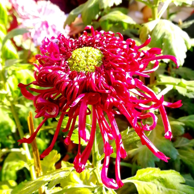 自己的微信所有群,微信怎么查我加入的群