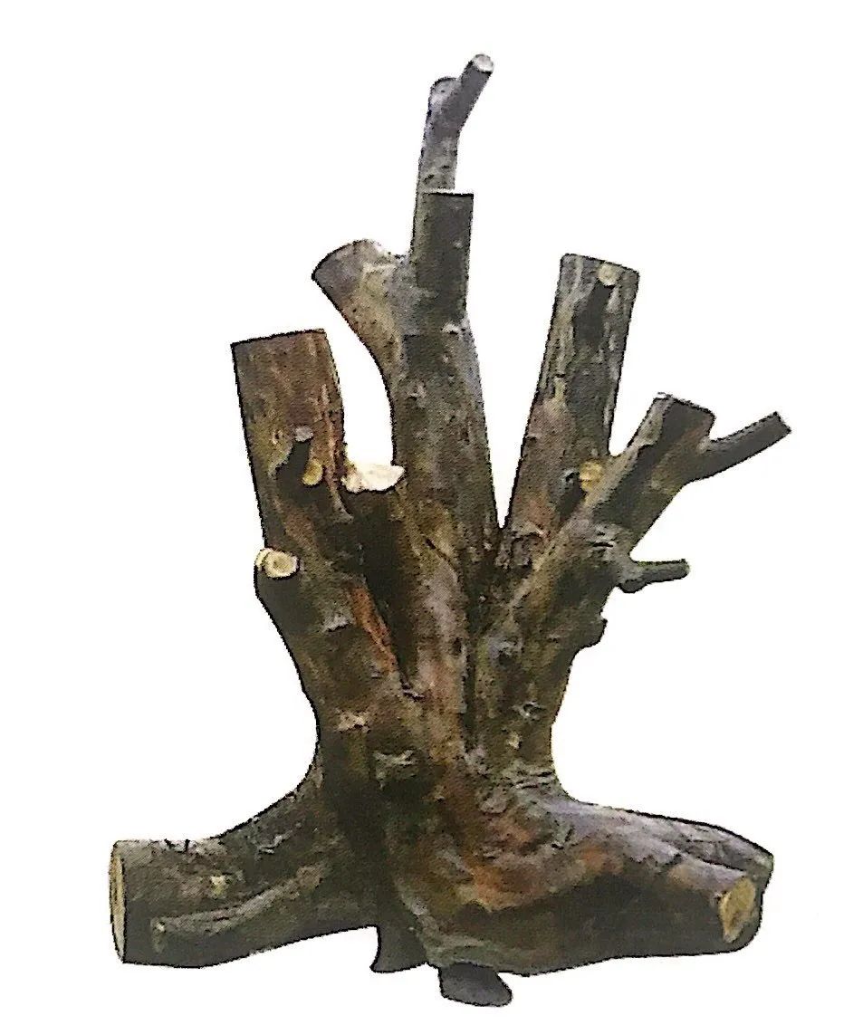 雀梅老桩盆景的造型,雀梅盆景树桩大全