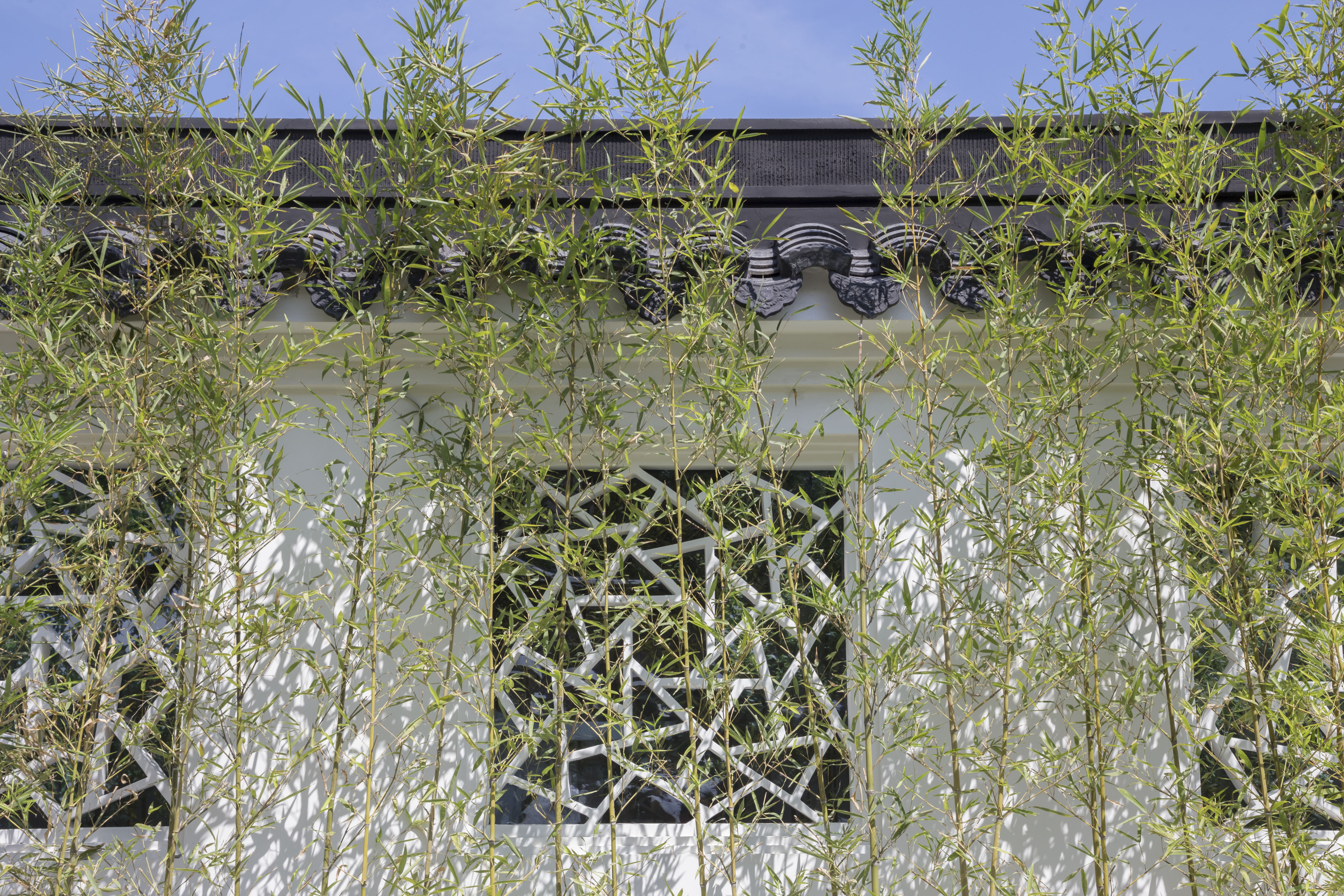 白鹭郡南底跃优缺点,白鹭郡南怎么样