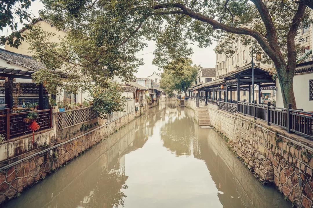 朱家角古镇和新场古镇哪个大一点,新场古镇和朱家角哪里好吃的多