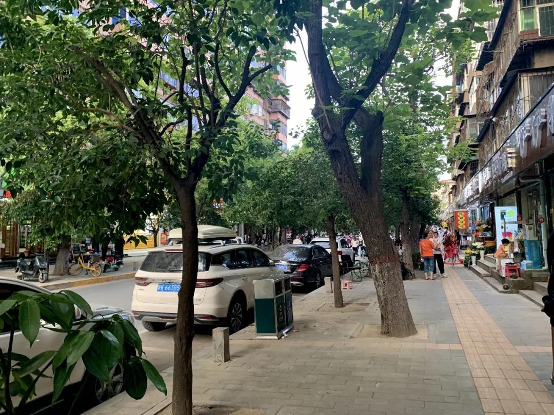 青山建设6路必吃的十大馆子,建湖必吃的馆子大全