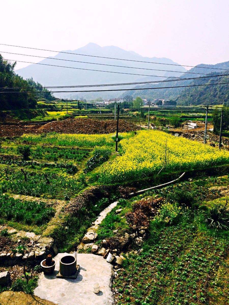 旧的捣衣棒,捣衣棒图片