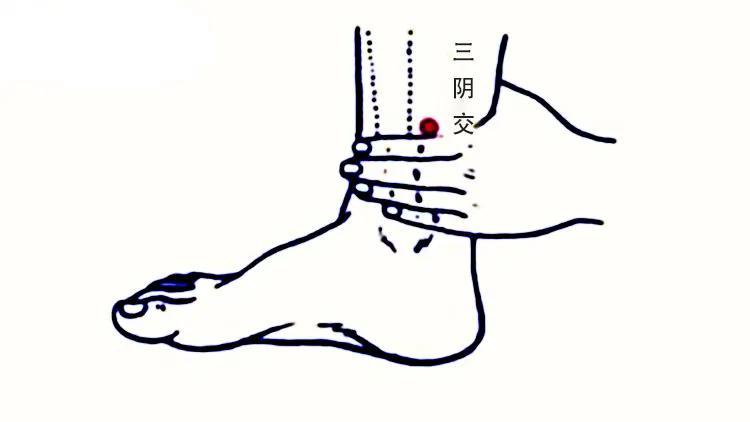 艾灸暖宫助孕的最佳时期,艾灸助孕