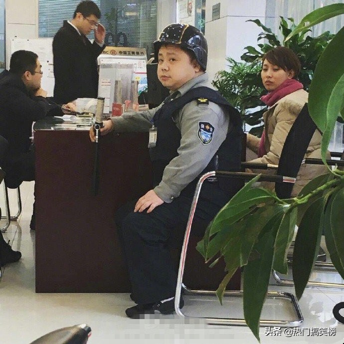 仓鼠和猫打架花了2000,和猫打架住院的仓鼠