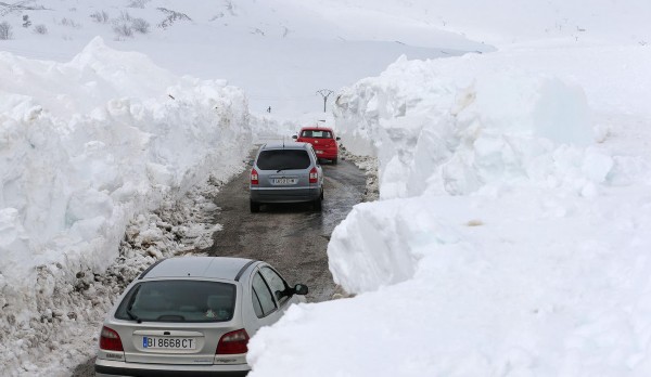 新冠肺炎、澳洲大火、东非蝗灾一系列灾难:2020年到底怎么了