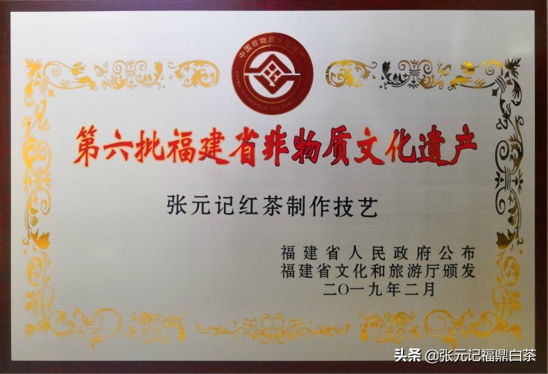 张元记福鼎白茶白牡丹,福鼎白茶张元记