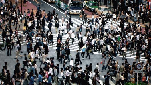 中国人的勤奋自学,中国人勤奋