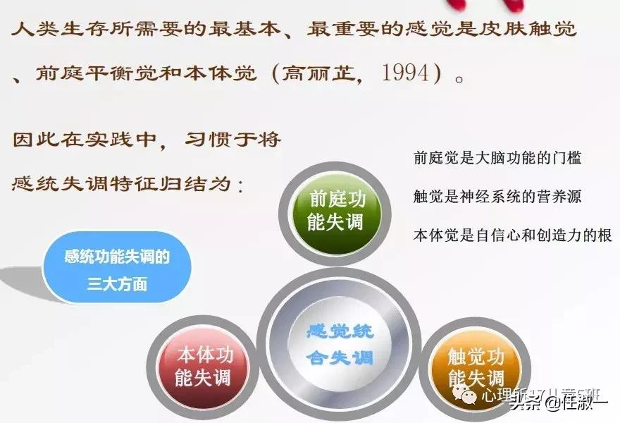 别乱给孩子贴“感统失调”的标签,先来理解什么是感觉统合