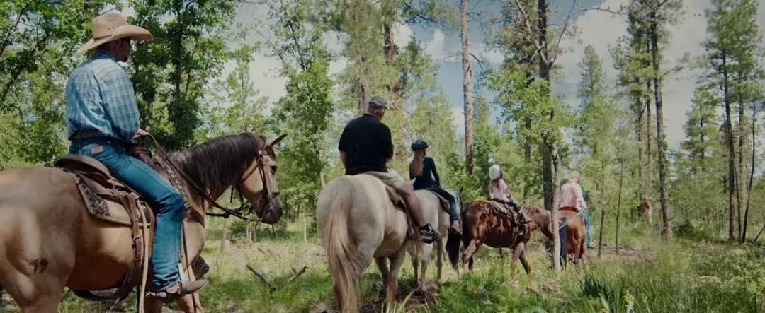 野骑马术教学,野骑马匹怎么选