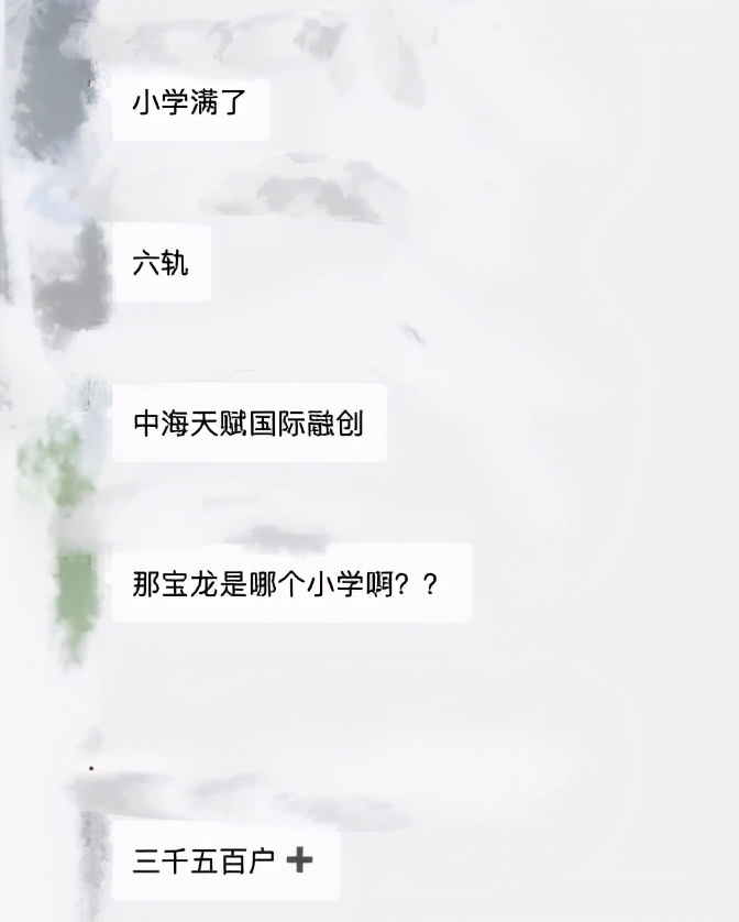 南京新玄武宝龙城大平层,南京新玄武宝龙城8楼