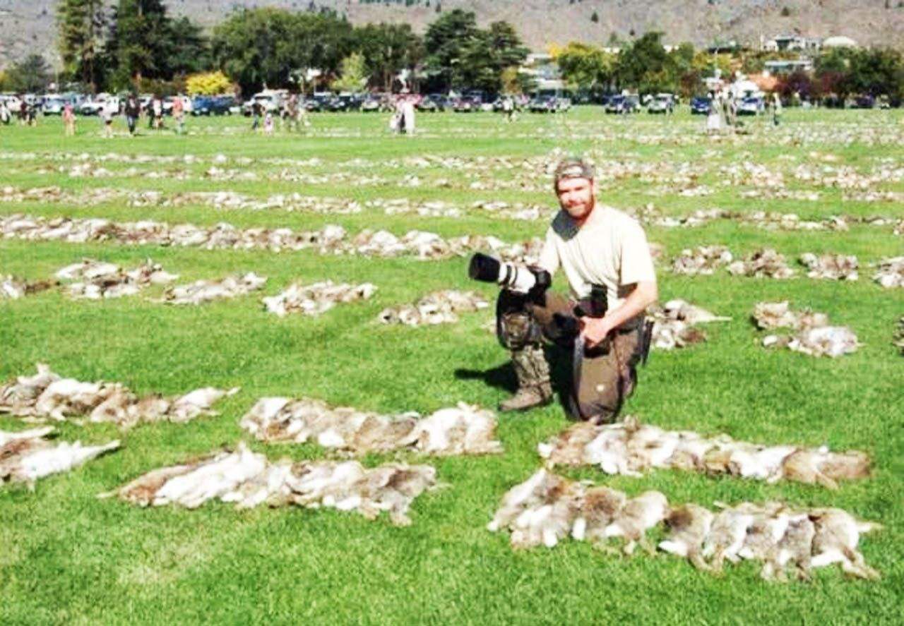 最小存活种群澳大利亚兔子,澳大利亚的兔子为什么会有5亿只