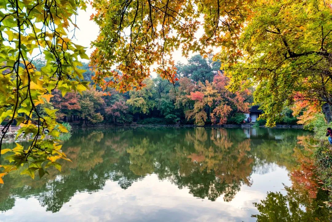 苏州旅游一定要去的地方推荐,去苏州旅游攻略必备