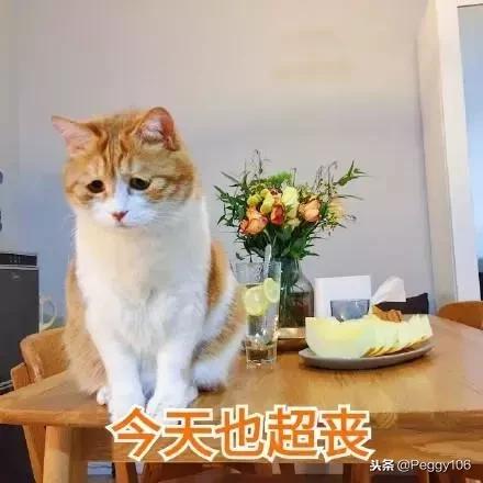 今年买房都有哪些政策下调,买房政策释放哪些信号