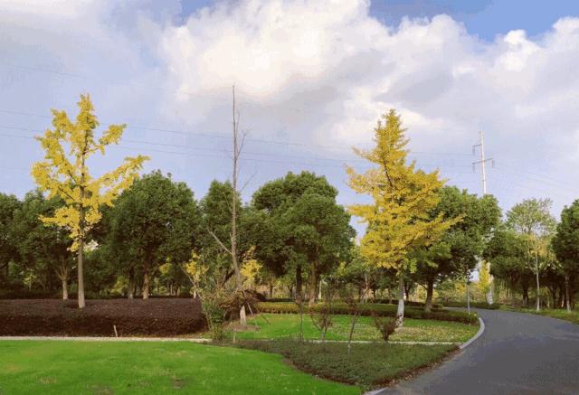 无锡遛娃户外免费,无锡惠山区遛娃好去处