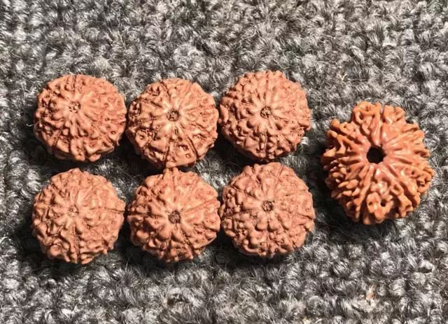 金刚菩提尼泊尔印尼区别,尼泊尔小金刚菩提子怎样快速变红