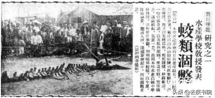 真的有龙吗未解之谜,真的有龙吗怎么回事