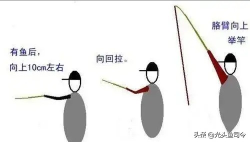 钓大鱼鱼咬口了怎么操作,钓大鱼的时候小鱼老是吃饵怎么办