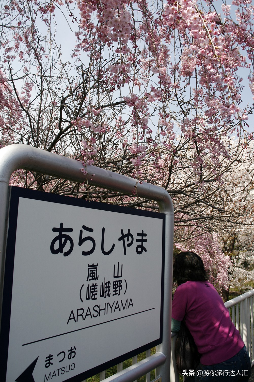 待到山花烂漫时完整版,待到樱花烂漫时的视频