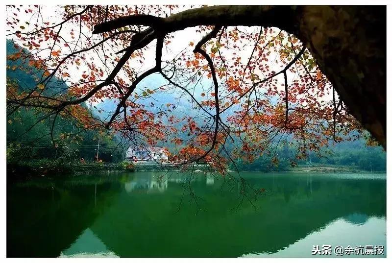 走进中泰,这里是泰国