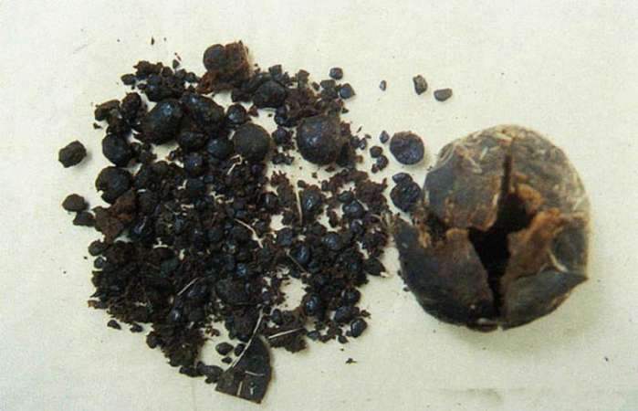 麝香酒钓鱼有什么用,西部风麝香酒钓鱼好用吗