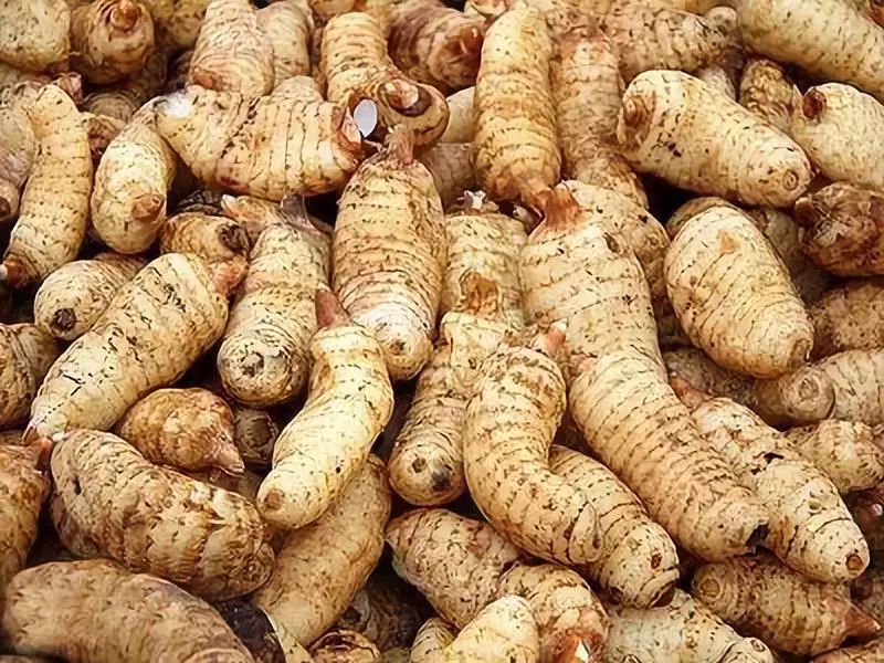 成本小利润大适合小本创业种植,有没有适合年轻人创业的种植项目