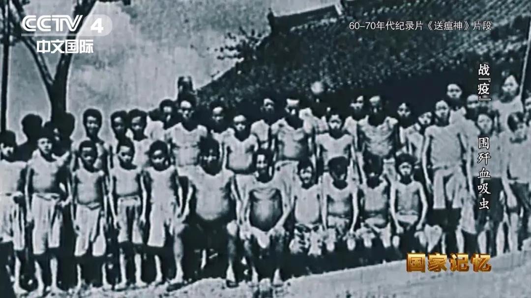 灭杀钉螺,消灭钉螺是消灭血吸虫的重要手段