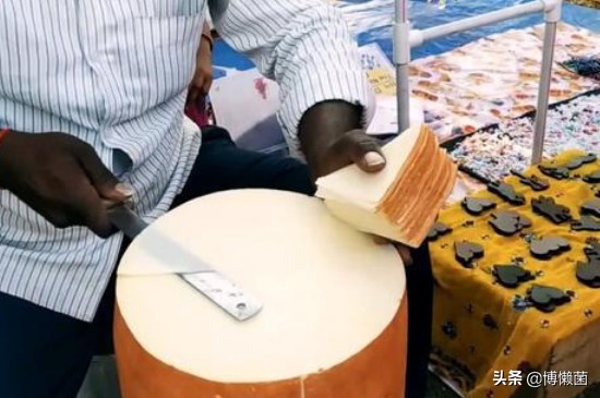 印度巨型根菜,印度根菜