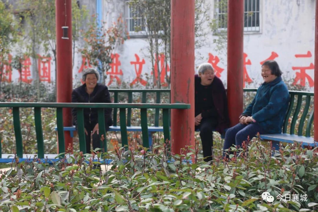 移民多年回到中国的感受,移民这十年淅川