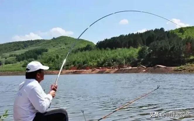 野钓鲫鱼饵料加什么添加剂最好,春夏野钓钓鲫鱼用哪款添加剂