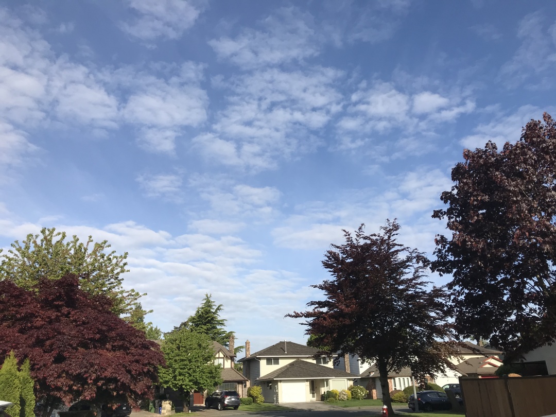 我在加拿大是什么意思,生活在加拿大的我真的想哭了