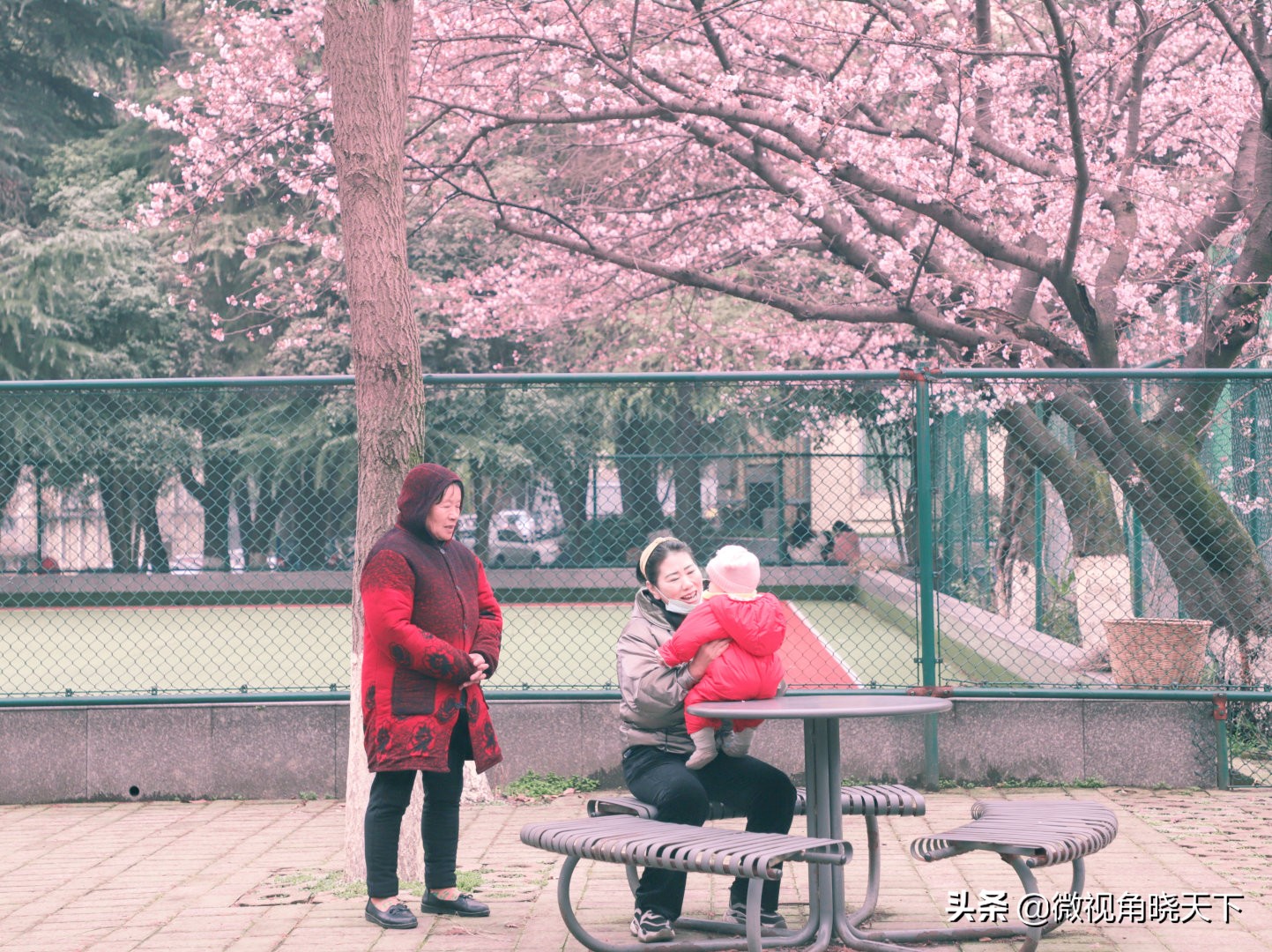 信阳师范学院：回眸但觉烟色浅，不知春意入师院