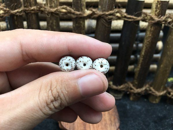 星月菩提哪些种类值得盘玩,星月菩提的鉴别及盘玩方式