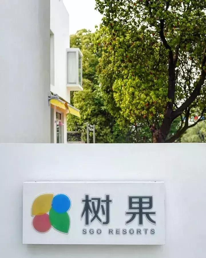 去上海必去的民宿,上海树林民宿推荐