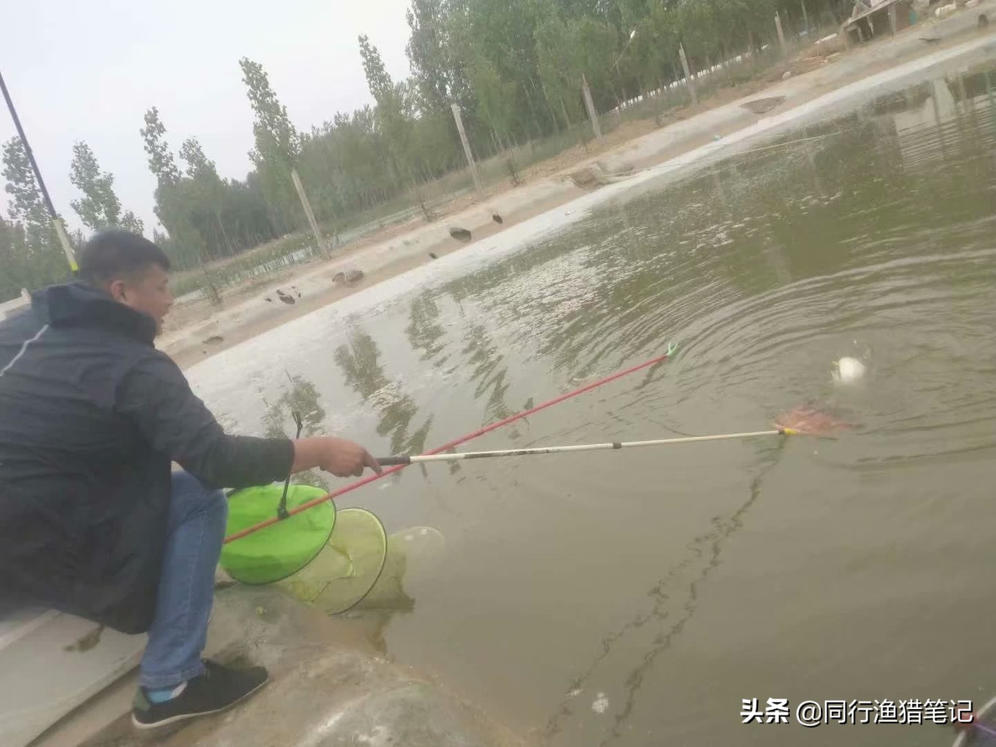 黑坑偷驴好用的饵料,黑坑偷驴时三种常用饵