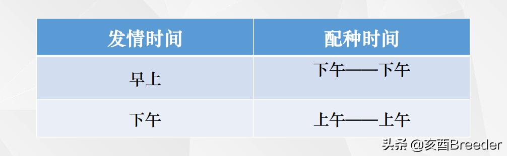 母猪发情鉴定及最佳配种时间判断,养母猪必会发情鉴定和适时配种