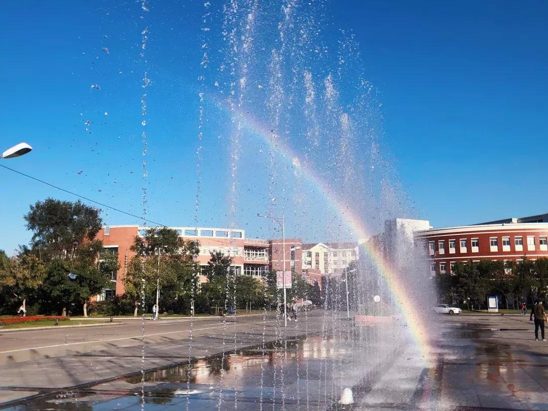 沈阳化工大学辽宁省排名,沈阳化工大学2020招生计划辽宁省