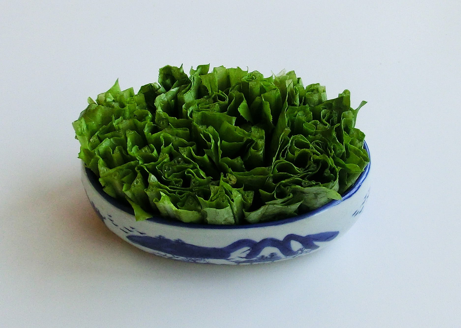 夏季上火吃些什么菜,老人冬季上火了吃什么降火最快