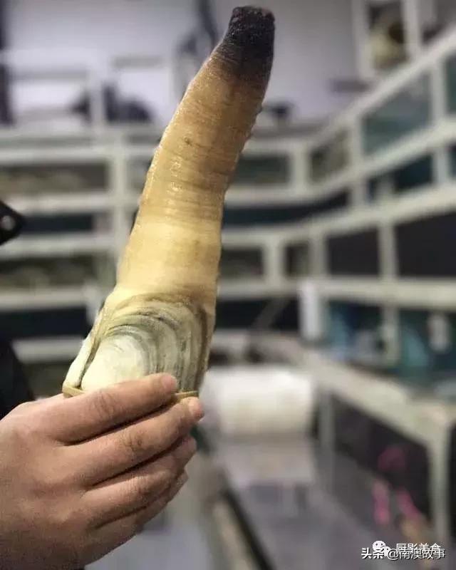 水煮贝壳类海鲜煮多久,海边海鲜用什么水煮好吃