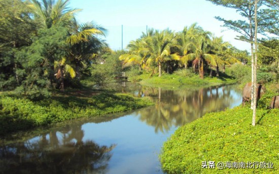 海南租车|南北行租车_说说海南!