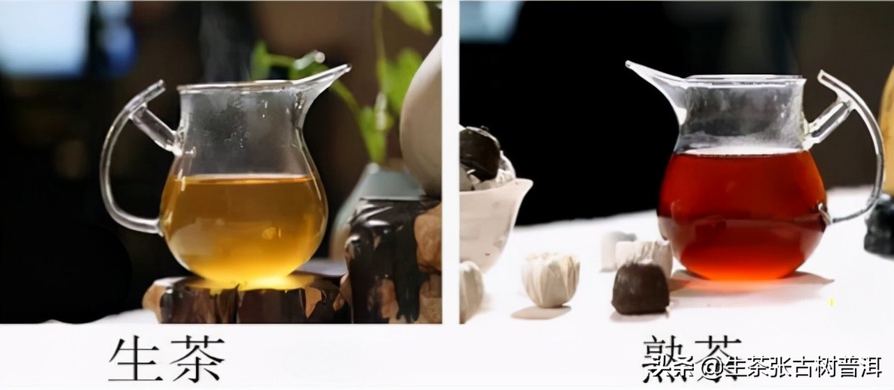 普洱茶知识科普从入门到高手,普洱茶入门知识这篇最全最靠谱