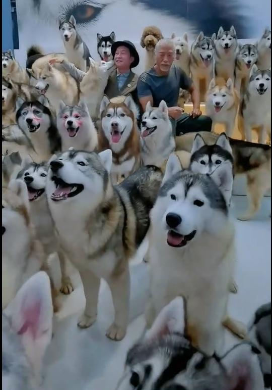 张耀扬乌鸦杀死小结巴,乌鸦张耀扬被打最惨的一次