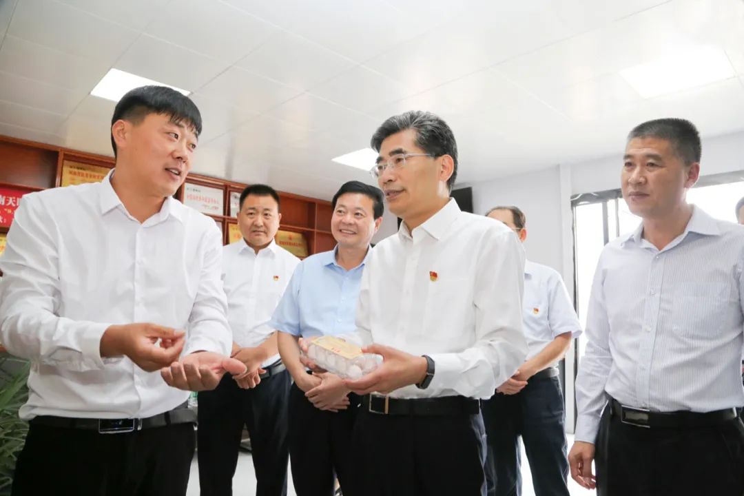 金银花喂鸽子的方法,喂鸽子喝水是怎么回事