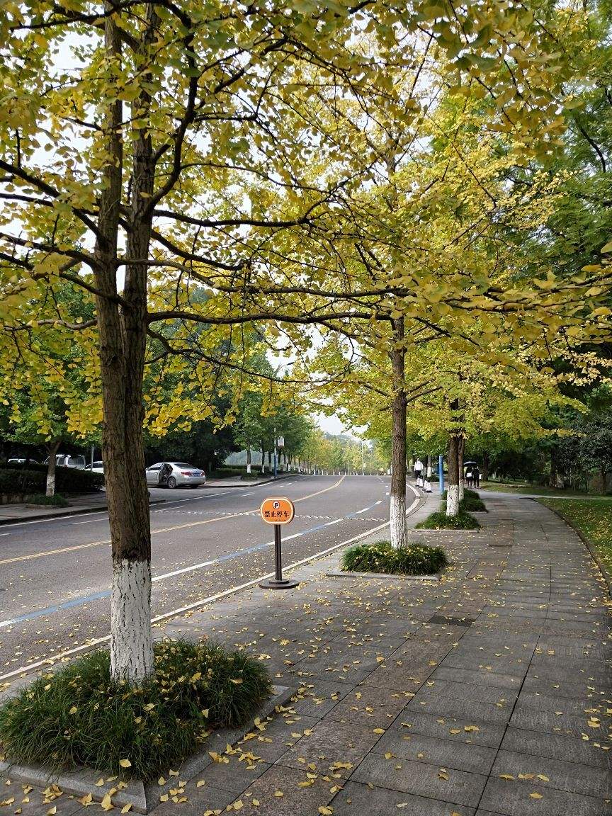重庆大学参观指南,重庆大学哪个地方值得去参观