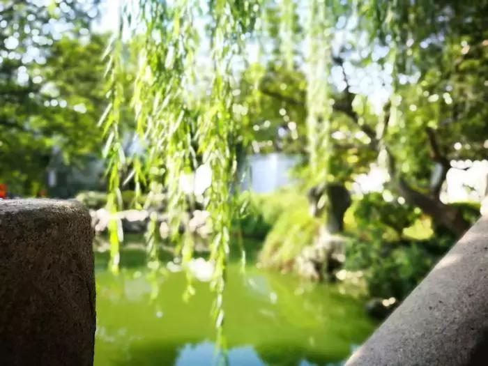 木渎古镇藏在闹市中的江南名镇,苏州木渎小众古镇