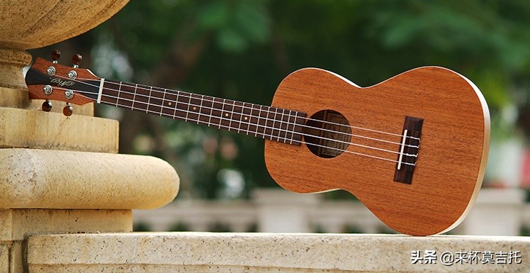 初学者尤克里里买什么品牌,新手如何选购尤克里里300到1000